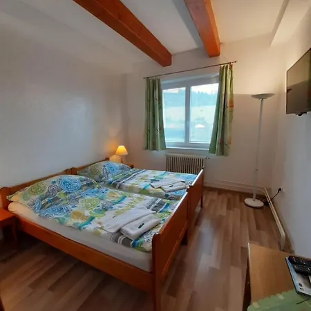 Sefcik Πανσιόν 3*